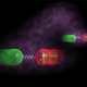 Image for article titled Scientists Measure Communication Between Quantum Entangled Atoms